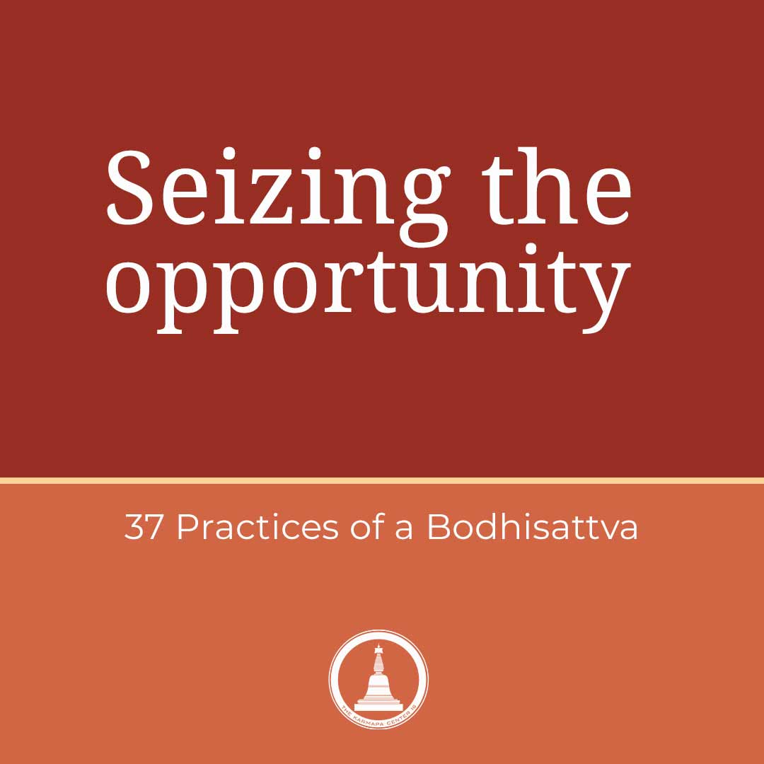 Featured image for “Seizing the opportunity: Embrace life’s meaning: 37 Practices – session 2”