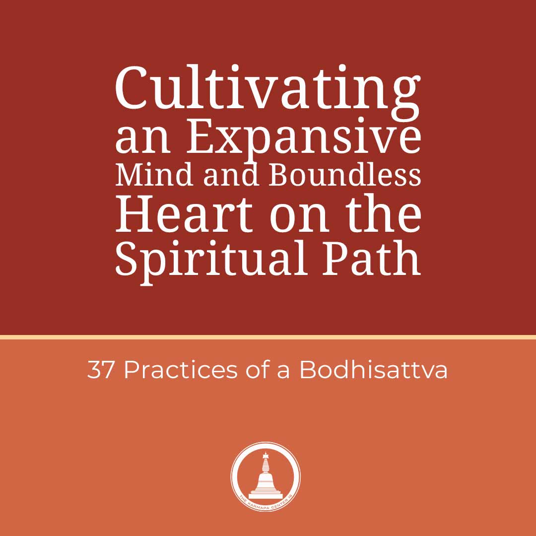 Featured image for “Cultivating an Expansive Mind and Boundless Heart on the Spiritual Path – 37 Practices – Session 8”
