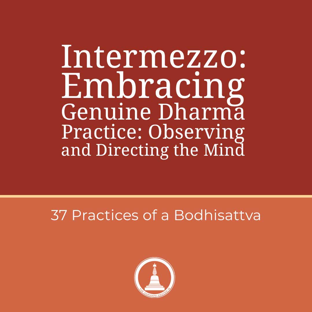 Featured image for “Intermezzo: Embracing Genuine Dharma Practice: Observing and Directing the Mind”