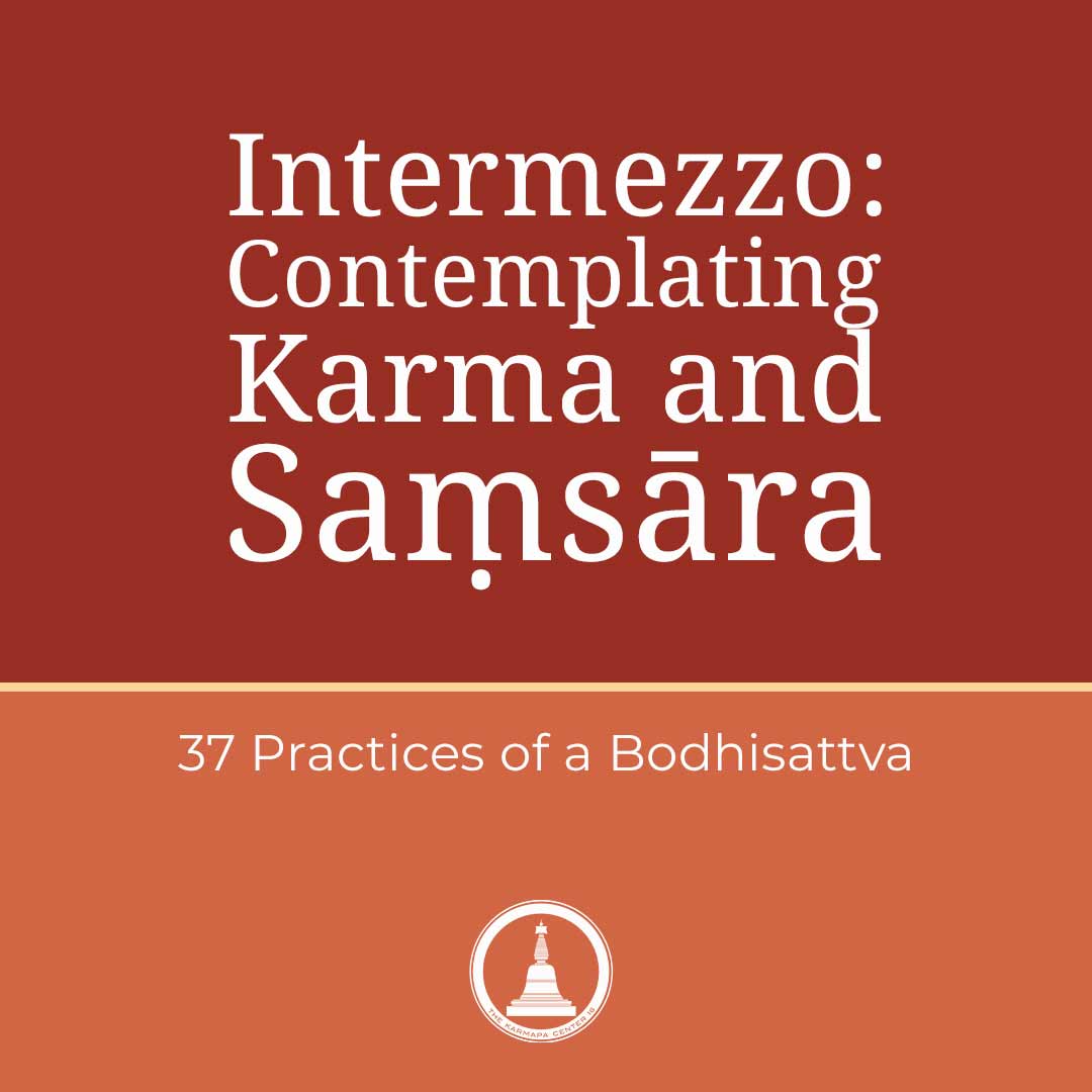 Featured image for “Intermezzo: Contemplating Karma and Saṃsāra”