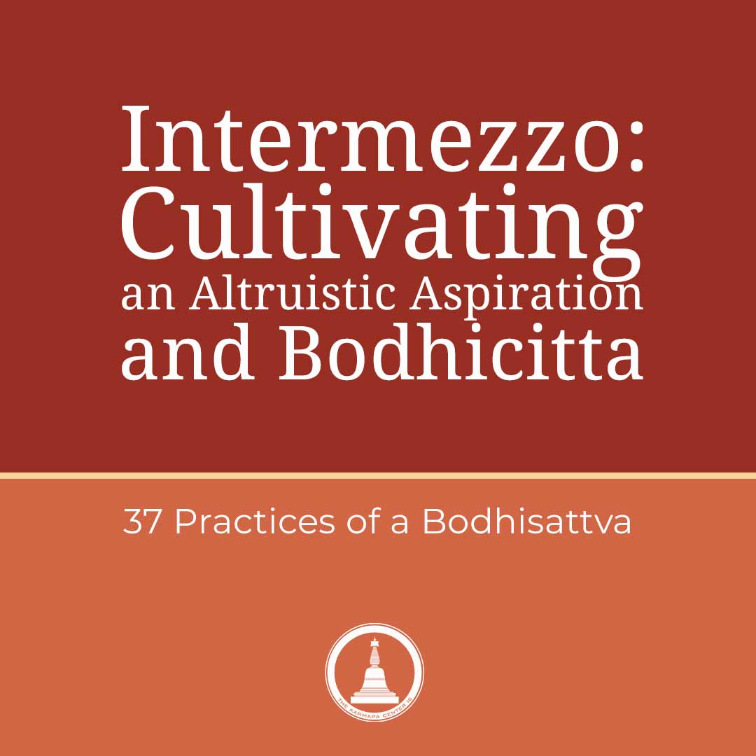 Featured image for “Intermezzo: Cultivating an Altruistic Aspiration and Bodhicitta”