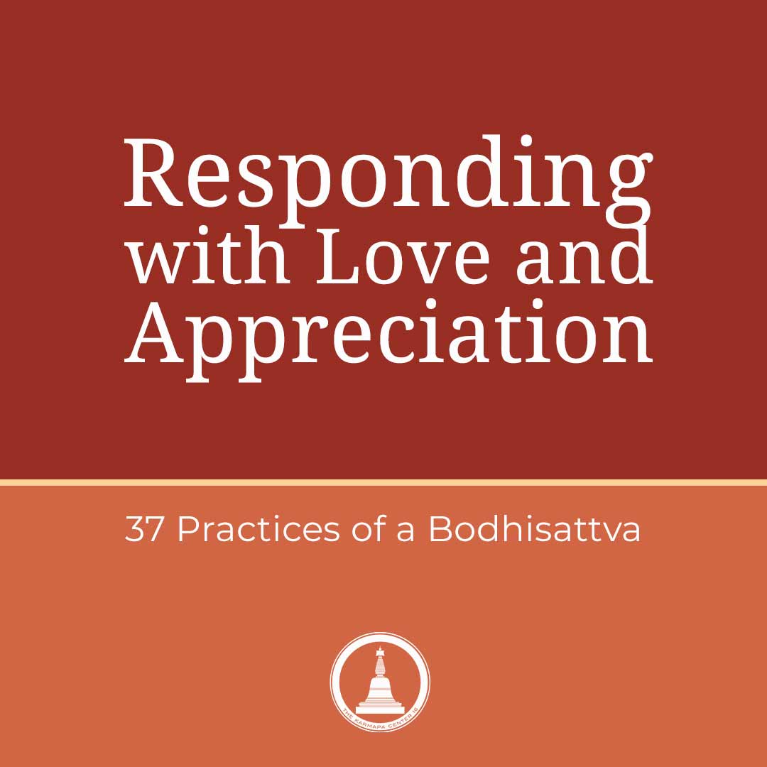 Featured image for “Responding with Love and Appreciation – 37 Practice – Session 13”