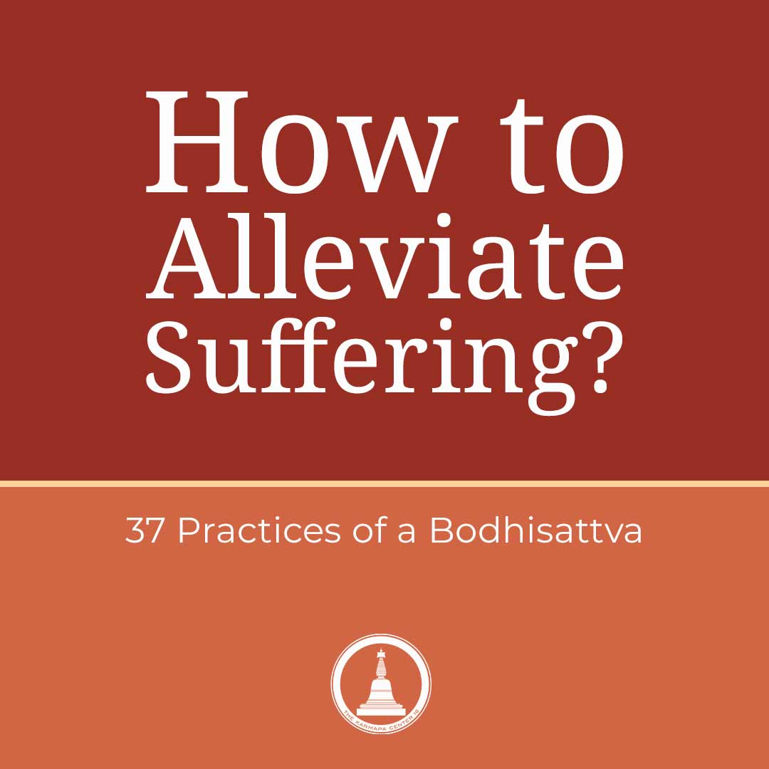 Featured image for “How to Alleviate Suffering? – 37 Practices – Reflection and Tonglen”