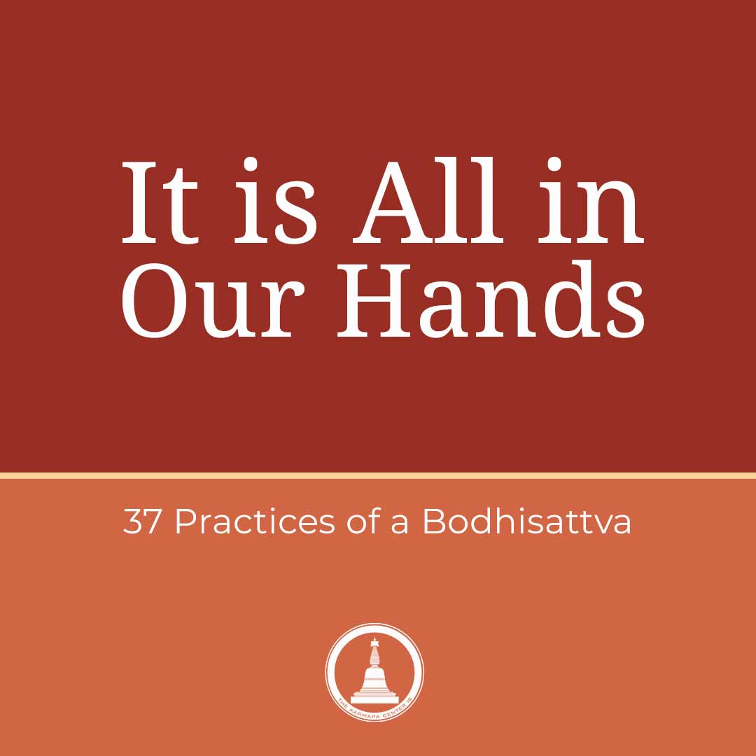 Featured image for “It is All in Our Hands – 37 Practices – Session 14”