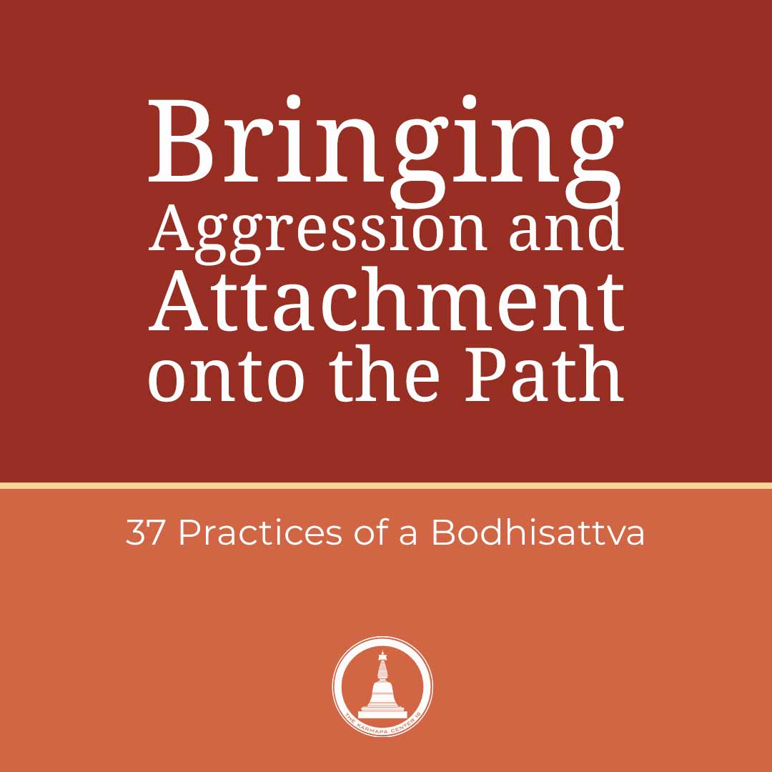 Featured image for “Bringing Aggression and Attachment onto the Path – 37 Practices – Session 15”