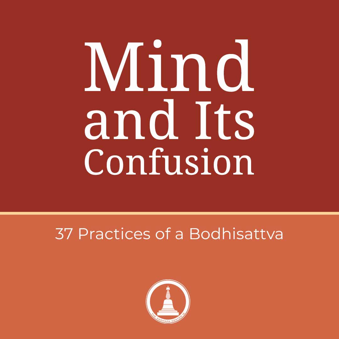 Featured image for “Mind and Its Confusion – 37 Practices – Session 16”